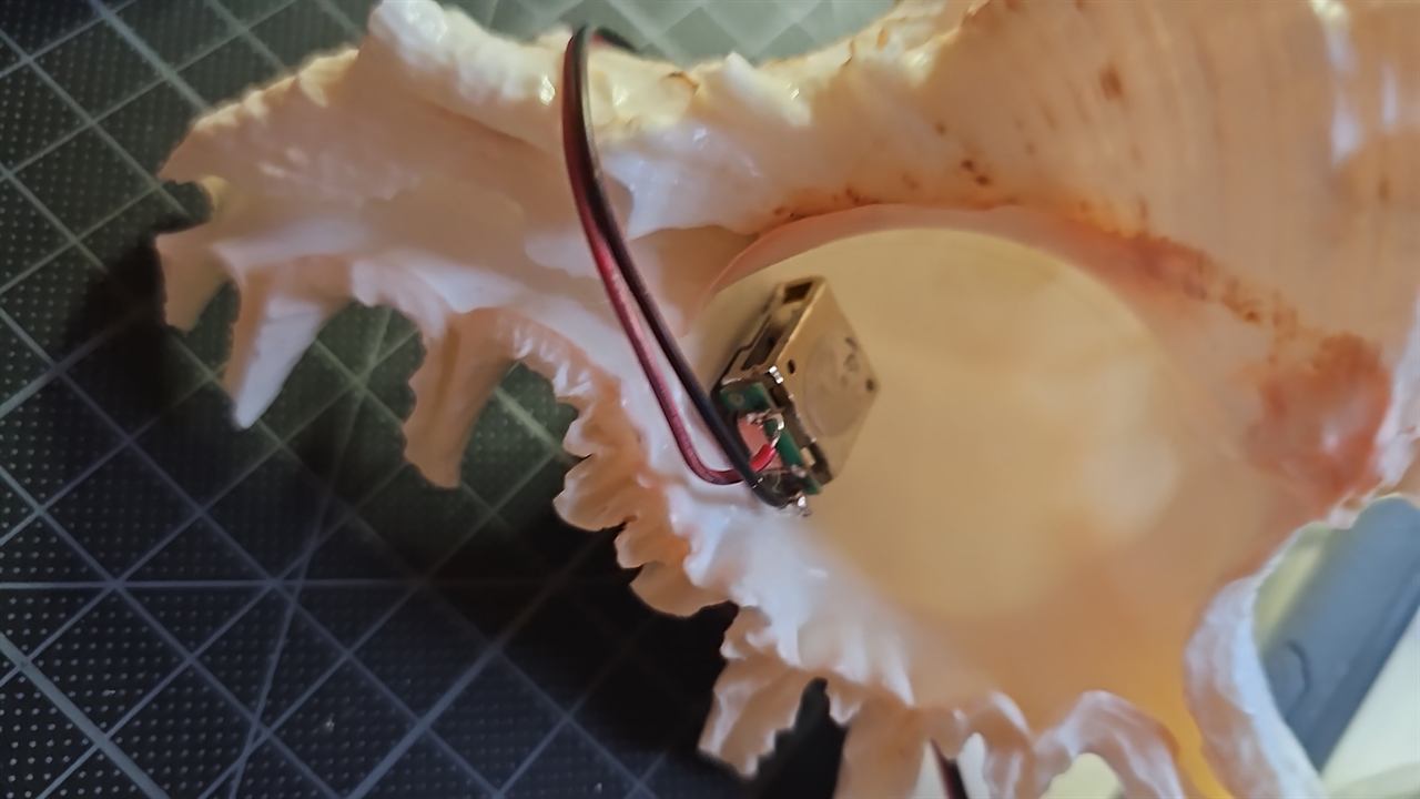 The transducer glued inside the shell