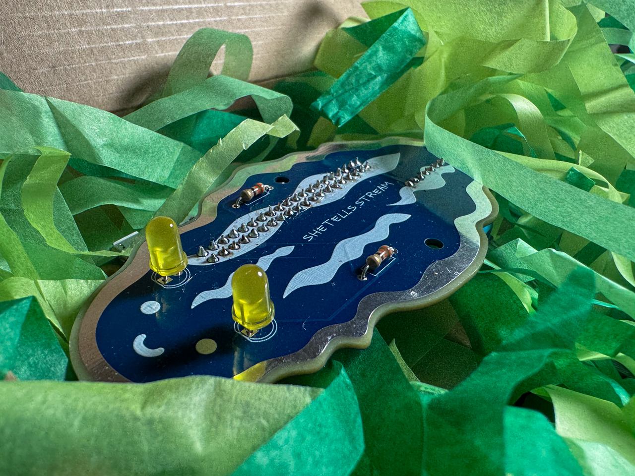 The snail board in its box of green paper